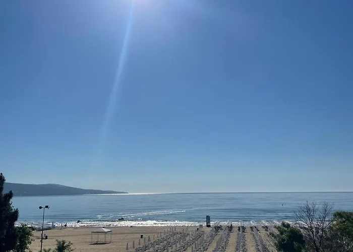 Gallery * 阳光海滩