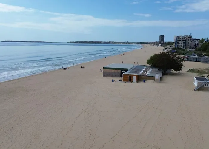 Gallery 써니비치